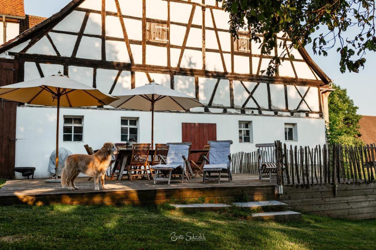 Ferienhaus Rote Sau Herrentierbach Екстериор снимка